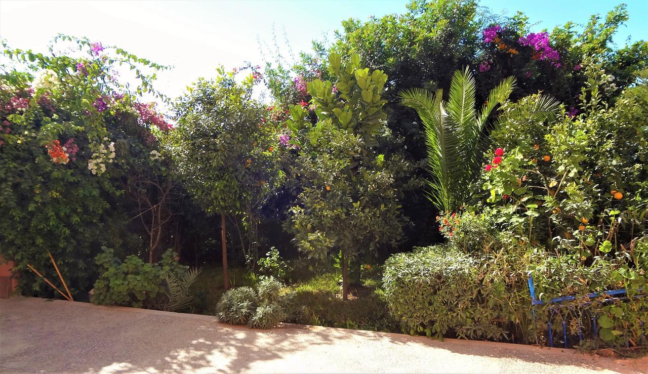 Surf & Yoga Paradise Morocco Hostel Tamraght Ou Fella Exterior photo
