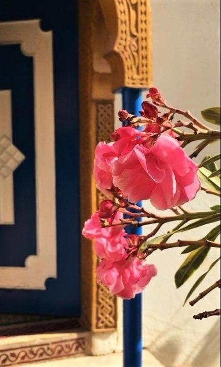 Surf & Yoga Paradise Morocco Hostel Tamraght Ou Fella Exterior photo